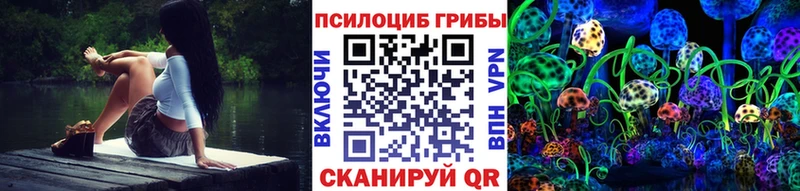 Купить  Зеленоградск  Галлюциногенные грибы Magic Shrooms 